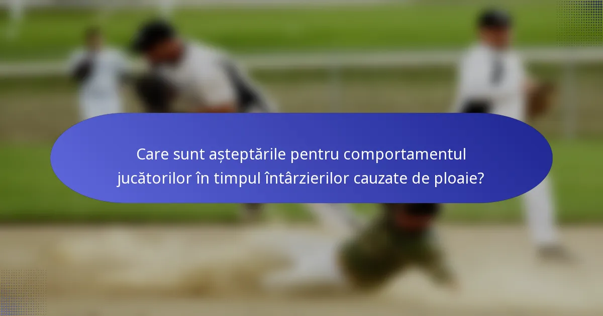 Care sunt așteptările pentru comportamentul jucătorilor în timpul întârzierilor cauzate de ploaie?