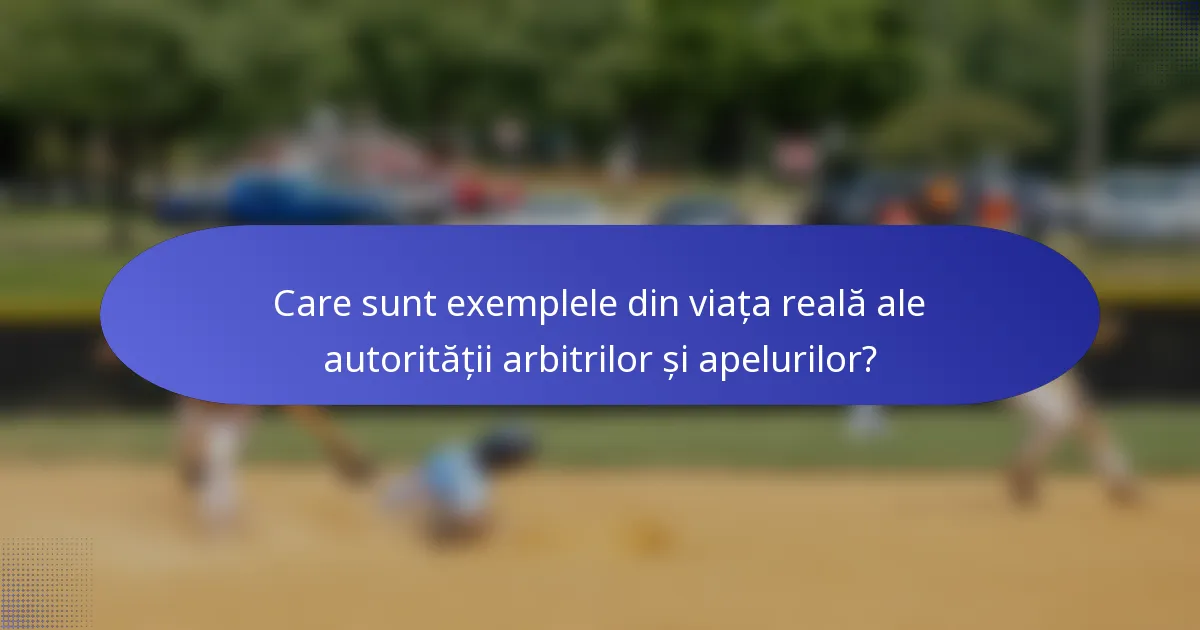 Care sunt exemplele din viața reală ale autorității arbitrilor și apelurilor?