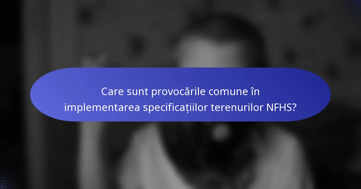 Care sunt provocările comune în implementarea specificațiilor terenurilor NFHS?