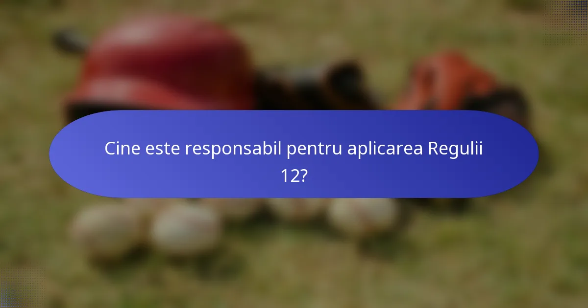 Cine este responsabil pentru aplicarea Regulii 12?